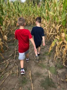 Corn Maze #3